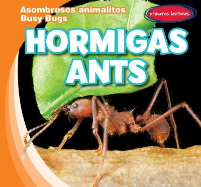 Book cover for Hormigas / Ants