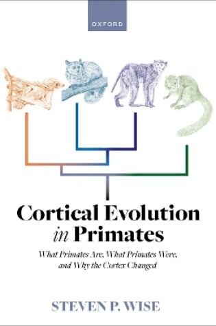Cover of Cortical Evolution in Primates
