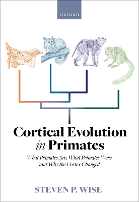 Book cover for Cortical Evolution in Primates