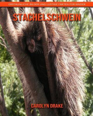 Book cover for Stachelschwein