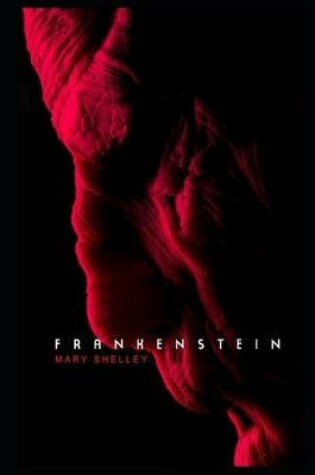 Cover of Frankenstein By Mary Shelley An Annotated Novel