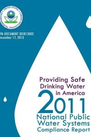 Cover of Providing Safe Driving Water in America