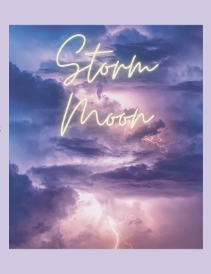 Book cover for Storm Moon