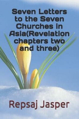 Cover of Seven Letters to the Seven Churches in Asia(Revelation chapters two and three)