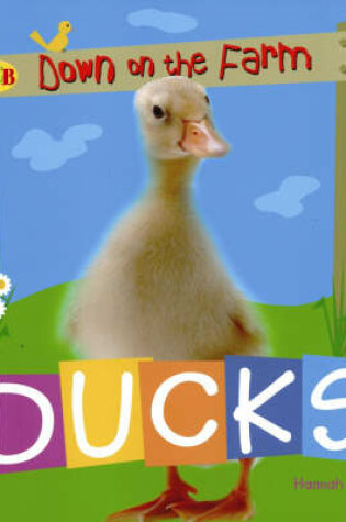 Cover of Ducks