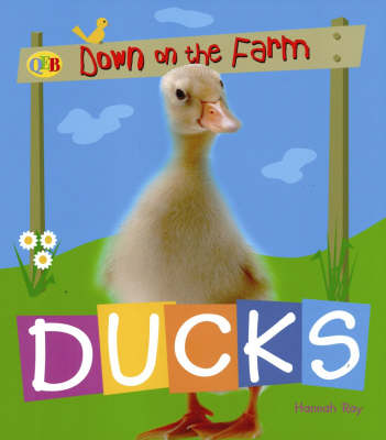 Book cover for Ducks