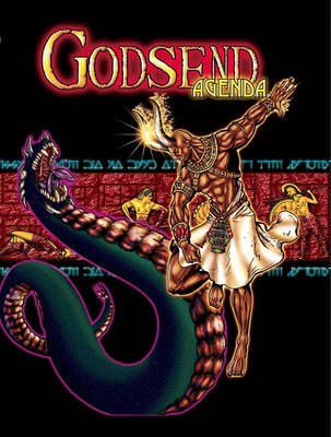 Book cover for Godsend Agenda D6