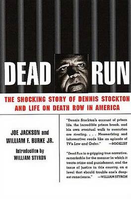 Book cover for Dead Run