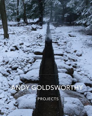 Book cover for Andy Goldsworthy: Projects