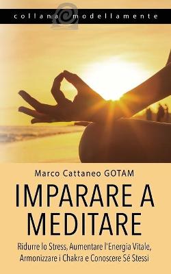 Book cover for Imparare a Meditare