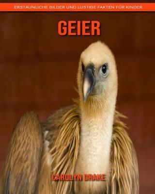 Book cover for Geier