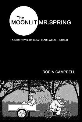 Book cover for The Moonlit Mr Spring