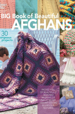 Cover of Big Book of Beautiful Afghans