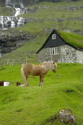 Book cover for Horses in the Faroe Islands Journal