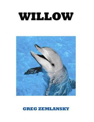 Book cover for Willow