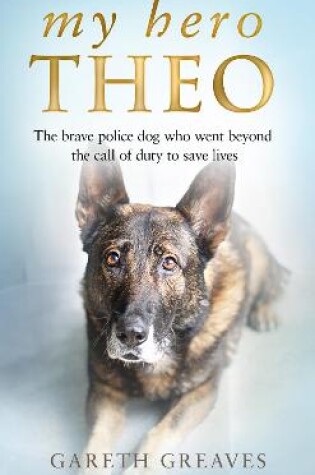 Cover of My Hero Theo