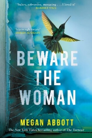 Cover of Beware the Woman