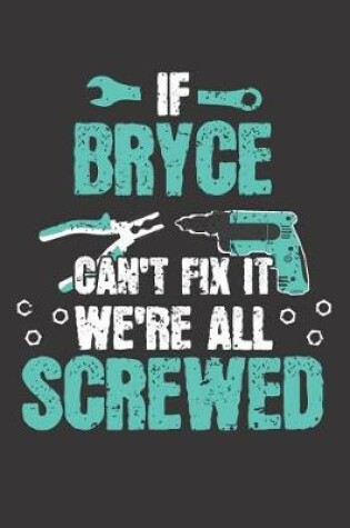 Cover of If BRYCE Can't Fix It