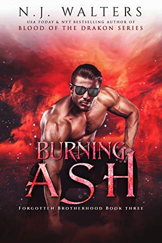 Burning Ash by N J Walters