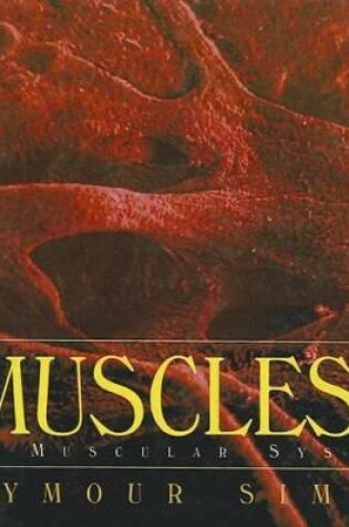 Cover of Muscles