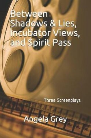 Cover of Between Shadows & Lies, Incubator Views & Spirit Pass