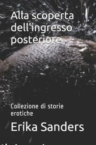 Cover of Alla scoperta dell'ingresso posteriore