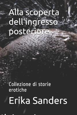 Cover of Alla scoperta dell'ingresso posteriore