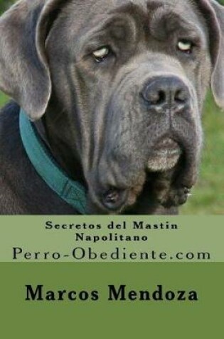 Cover of Secretos del Mastin Napolitano