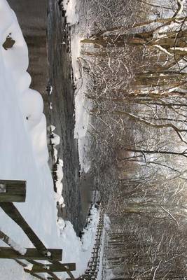 Book cover for Wintery Stream in Rural Pennsylvania