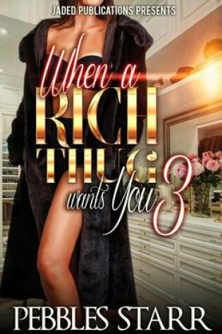 Cover of When a Rich Thug Wants You 3