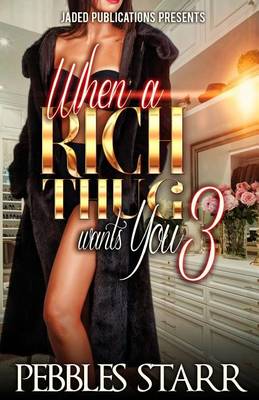 Book cover for When a Rich Thug Wants You 3