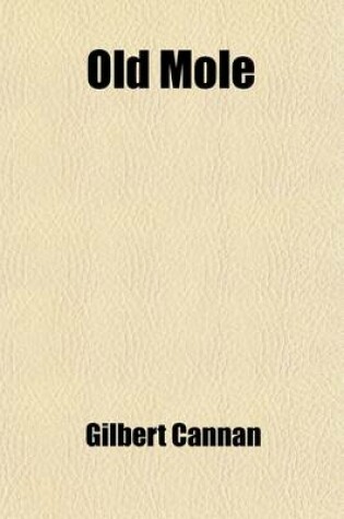 Cover of Old Mole; Being the Surprising Adventures in England of Herbert Jocelyn Beenham, M.A., Sometime Sixthform Master at Thrigsby Grammar School in the Cou