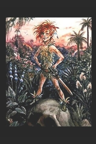 Cover of Peter Pan in the Never-Never