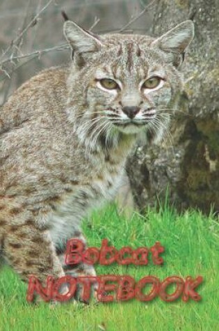 Cover of Bobcat NOTEBOOK