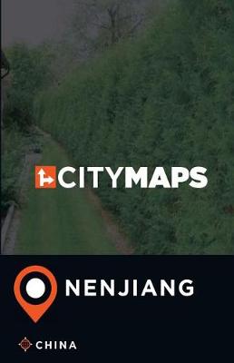 Book cover for City Maps Nenjiang China