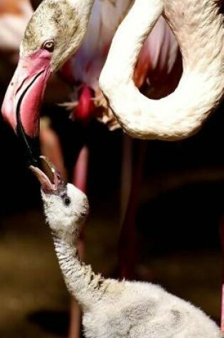 Cover of Mama Feeding her Baby Chick Flamingo Journal