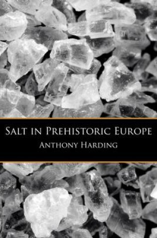 Cover of Salt in Prehistoric Europe