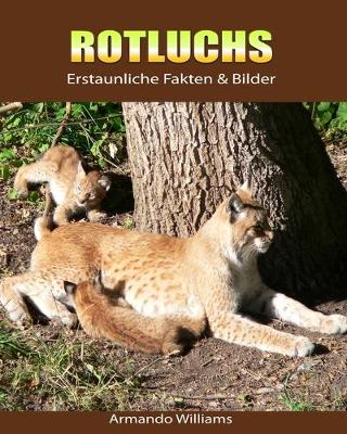 Book cover for Rotluchs