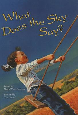 Book cover for What Does the Sky Say?