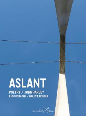 Book cover for Aslant