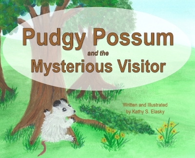 Book cover for Pudgy Possum and the Mysterious Visitor