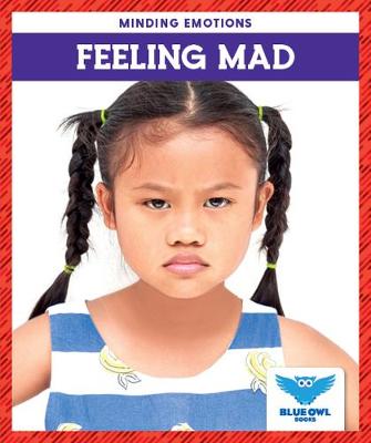 Book cover for Feeling Mad