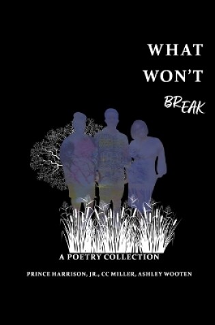 Cover of What Won't BREAK