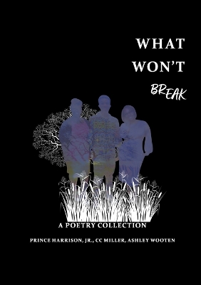 Book cover for What Won't BREAK