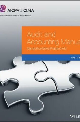 Cover of Audit and Accounting Manual – Nonauthoritative Practice Aid, 2019