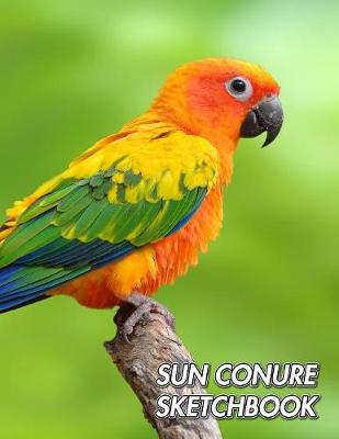 Book cover for Sun Conure Sketchbook