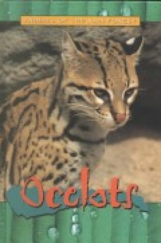 Cover of Ocelot