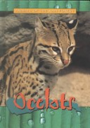 Book cover for Ocelot