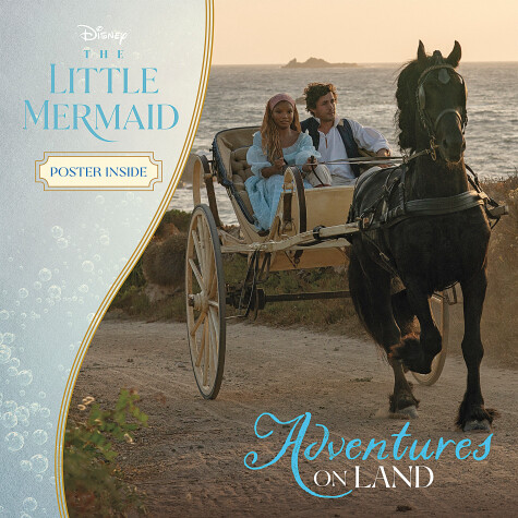 Book cover for The Little Mermaid: Adventures on Land