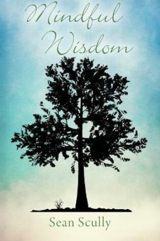 Cover of Mindful Wisdom